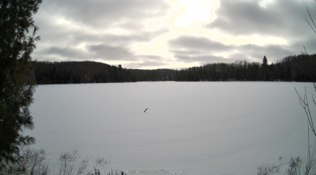 Image from 2025-02-04