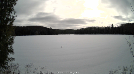 Image from 2025-02-04