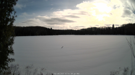 Image from 2025-02-04