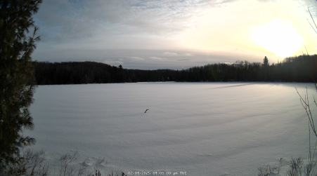 Image from 2025-02-04