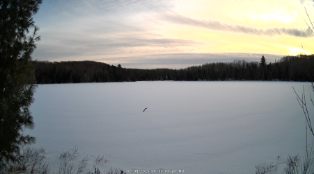 Image from 2025-02-04