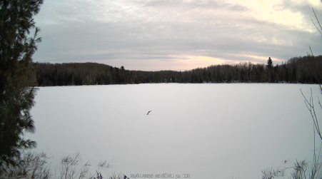 Image from 2025-02-04