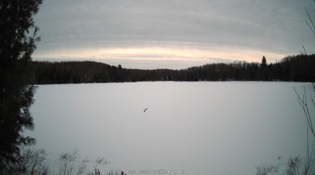 Image from 2025-02-04