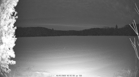 Image from 2025-02-04