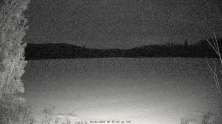 Image from 2025-02-04