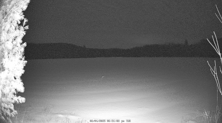 Image from 2025-02-04