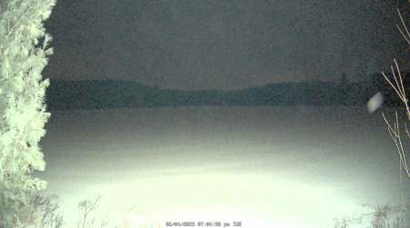 Image from 2025-02-04