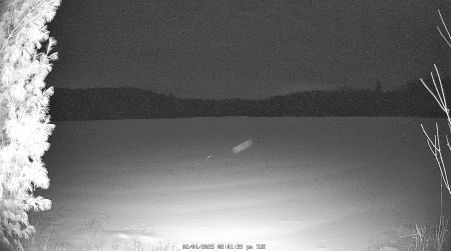 Image from 2025-02-04