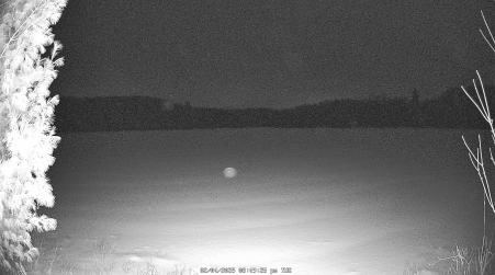 Image from 2025-02-04