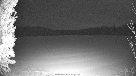 Image from 2025-02-04