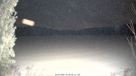 Image from 2025-02-04