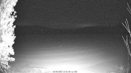 Image from 2025-02-05