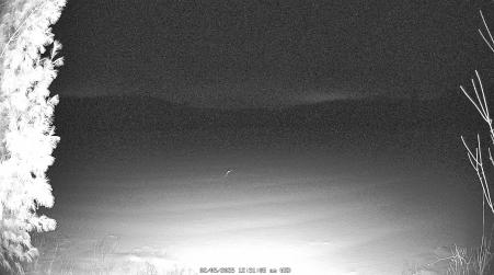 Image from 2025-02-05