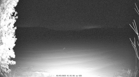 Image from 2025-02-05