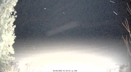 Image from 2025-02-05