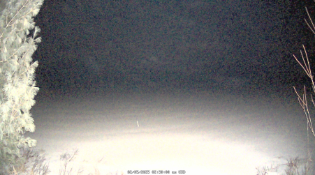 Image from 2025-02-05