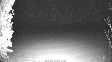 Image from 2025-02-05