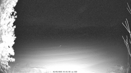 Image from 2025-02-05