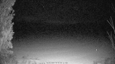 Image from 2025-02-05