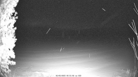 Image from 2025-02-05
