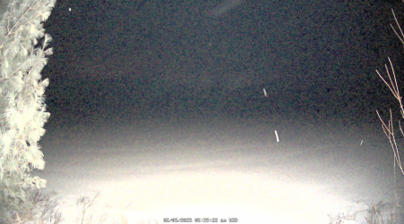 Image from 2025-02-05