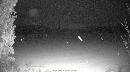 Image from 2025-02-05