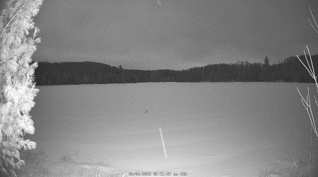 Image from 2025-02-05