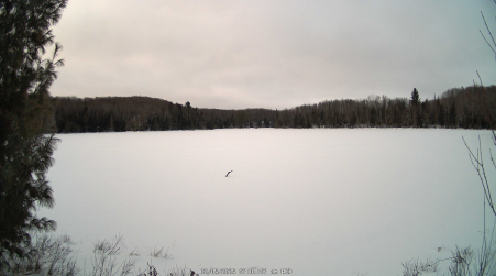 Image from 2025-02-05