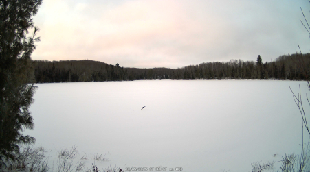 Image from 2025-02-05