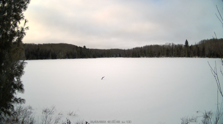 Image from 2025-02-05