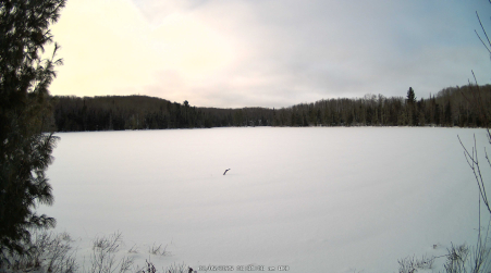 Image from 2025-02-05