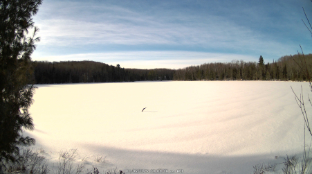 Image from 2025-02-05
