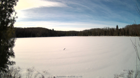 Image from 2025-02-05