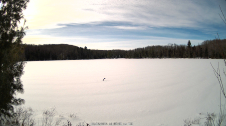 Image from 2025-02-05