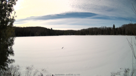 Image from 2025-02-05