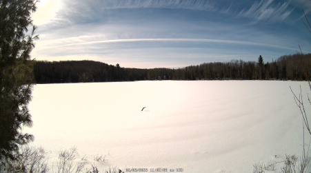 Image from 2025-02-05
