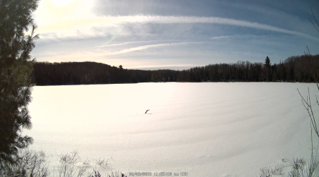 Image from 2025-02-05