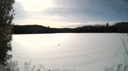 Image from 2025-02-05