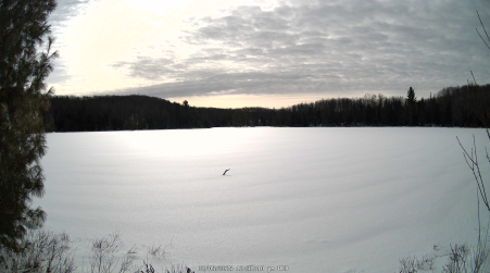 Image from 2025-02-05