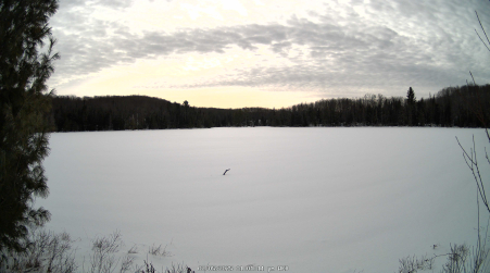 Image from 2025-02-05