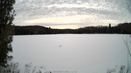Image from 2025-02-05