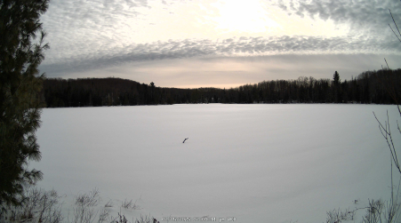 Image from 2025-02-05