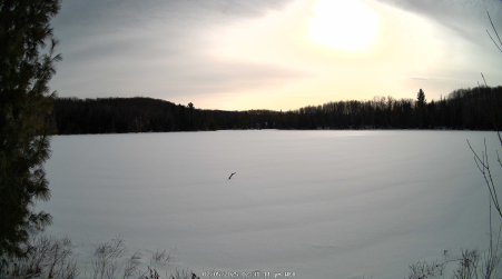 Image from 2025-02-05