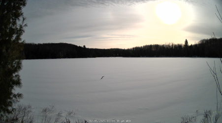 Image from 2025-02-05