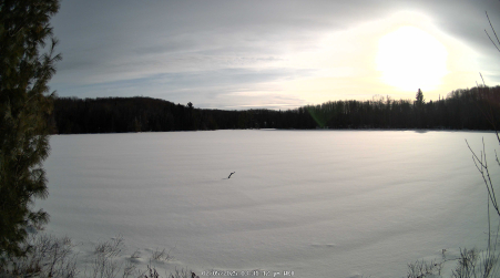 Image from 2025-02-05