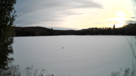 Image from 2025-02-05
