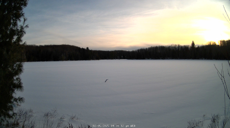 Image from 2025-02-05