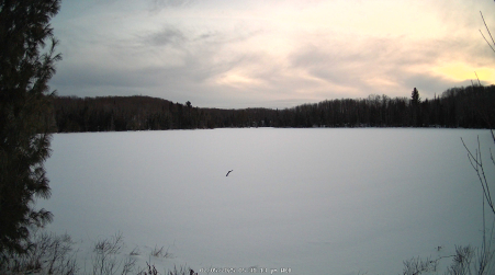 Image from 2025-02-05