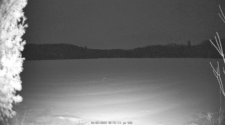 Image from 2025-02-05