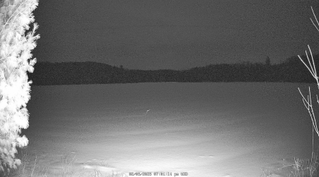 Image from 2025-02-05